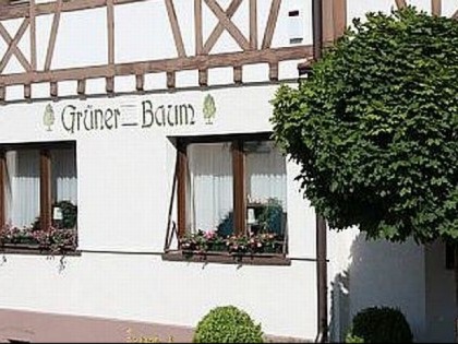 照片: Gr&amp;uuml;ner Baum M&amp;ouml;sbach